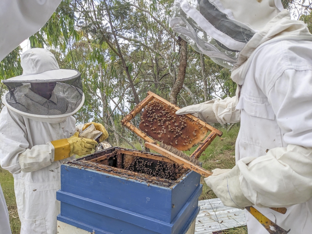 Beekeepers in their farm in Southern Province. Rwanda joined the world to mark World Bee Day on May 20. Photos by Olivier Mugwiza