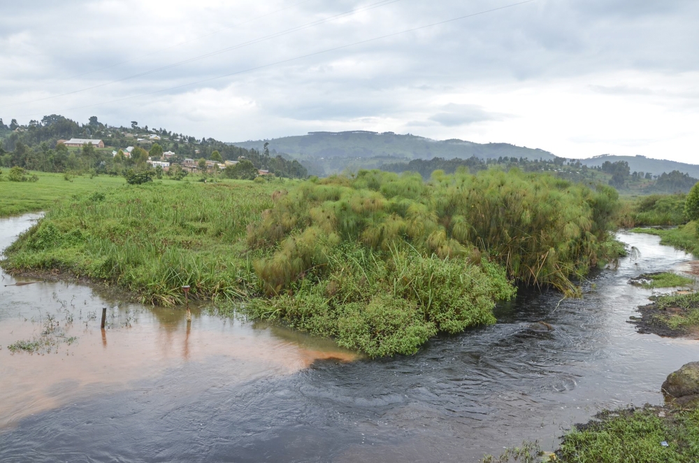 A view of the conserved Rugezi wetland which has played a big role in stabilising the water supply for national hydropower generation. Photo by Sam Ngendahimana