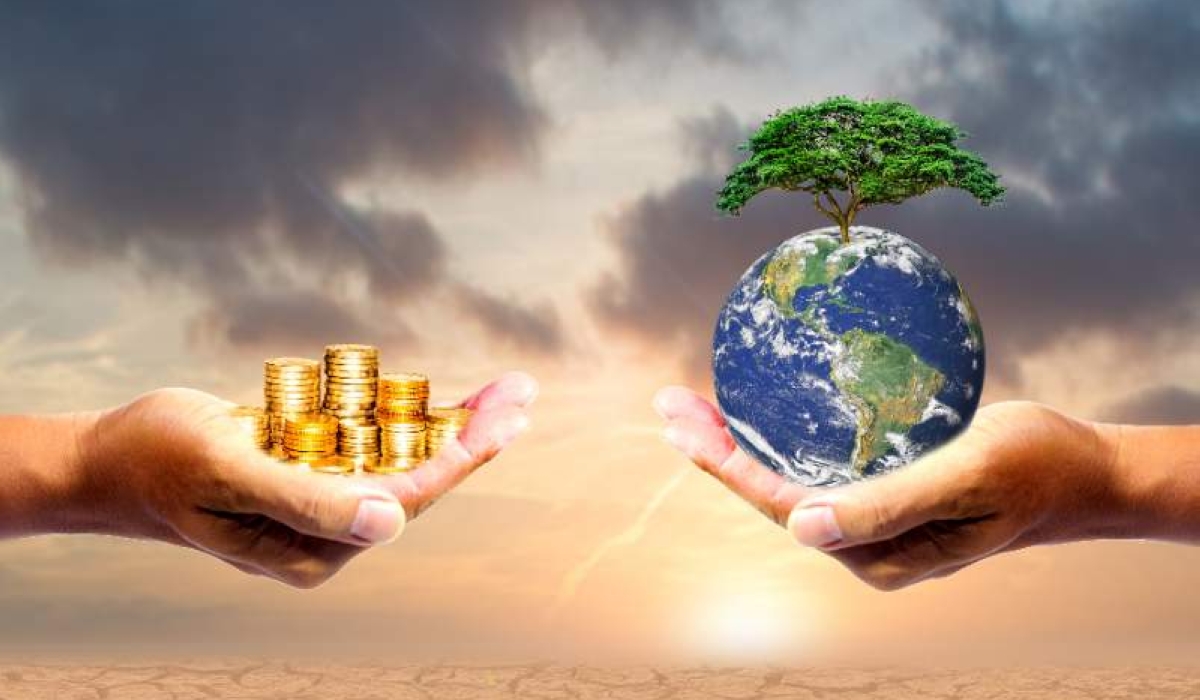 Africa needs blended climate change financing from COP29 negotiations.