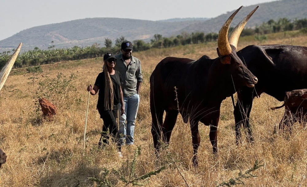 Artiste Butera Knowless and her husband Ishimwe Clement in their farm. President Paul Kagame honored a promise made during the general elections by gifting cows to local artists in Karumuna. Courtesy