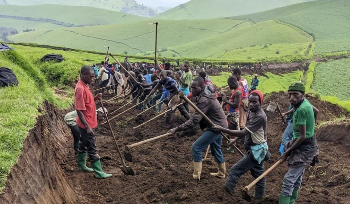 A week after M23 captured Ngungu locality in North Kivu Province, the rebels and locals teamed up in a community work exercise to trace a road from Karuba to Ngungu.