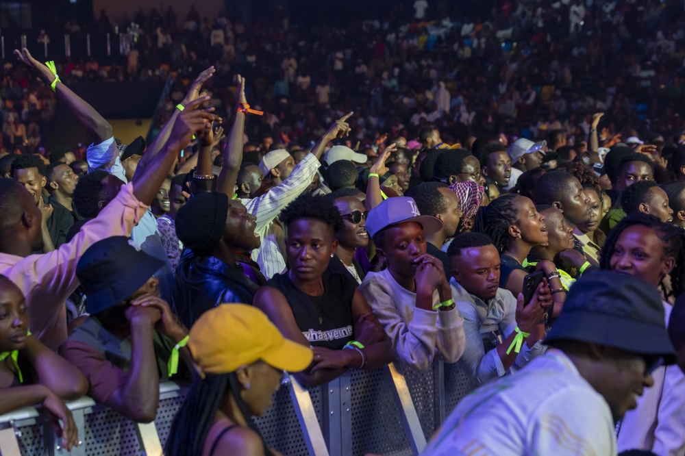 Thousands of revelers during the concert.