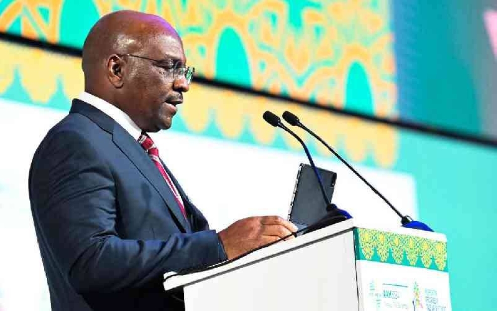 Africa Export-Import Bank (Afrieximbank) Senior Executive Vice President Denys Denya. [Courtesy]