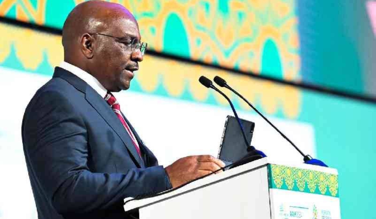 Africa Export-Import Bank (Afrieximbank) Senior Executive Vice President Denys Denya. [Courtesy]