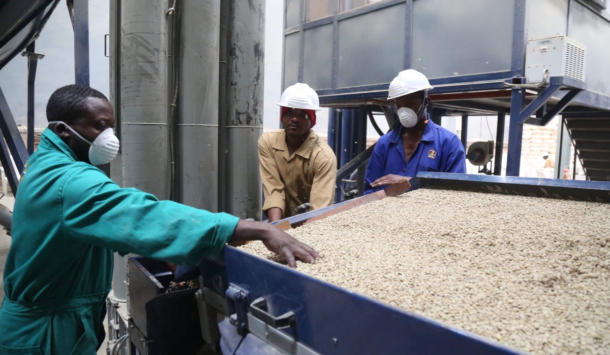 Workers processing coffee for export at Kigali Special Economic Zone. Rwanda’s coffee exports are expected to rebound following a price increase in the international market. Sam Ngendahimana