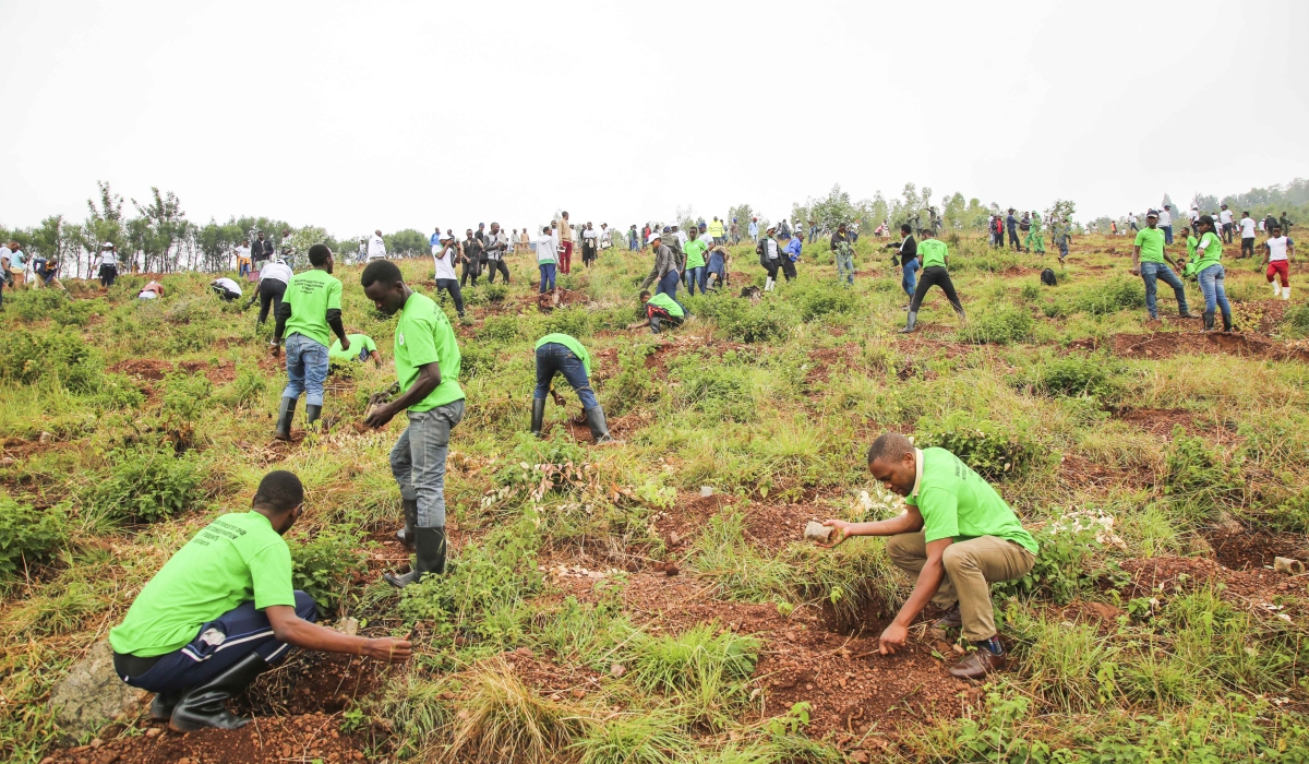 Residents during a tree planting exercise at Mount Rebero in Kicukiro District.  The City of Kigali set to plant more trees  to mitigate floods and improve air quality in Kigali City.