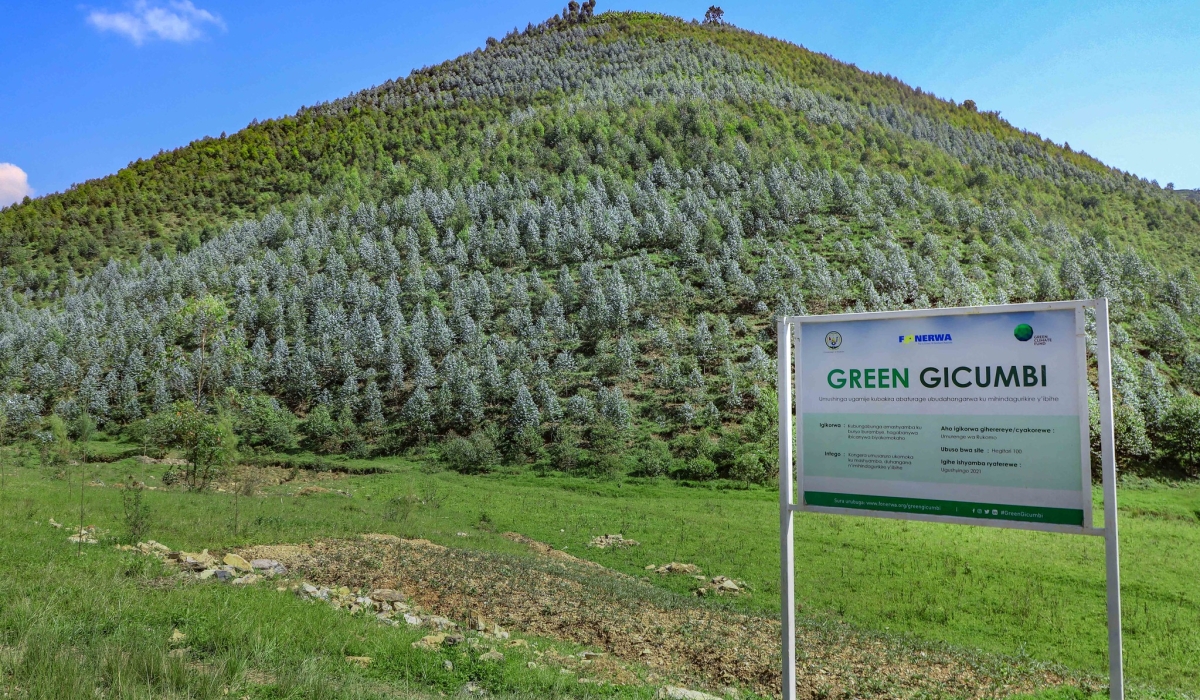 A landscape view of the reforested area through Green Gicumbi project. Rwanda has unveiled a ‘Practical Guide’ to help understand the carbon market and related investment opportunities. File