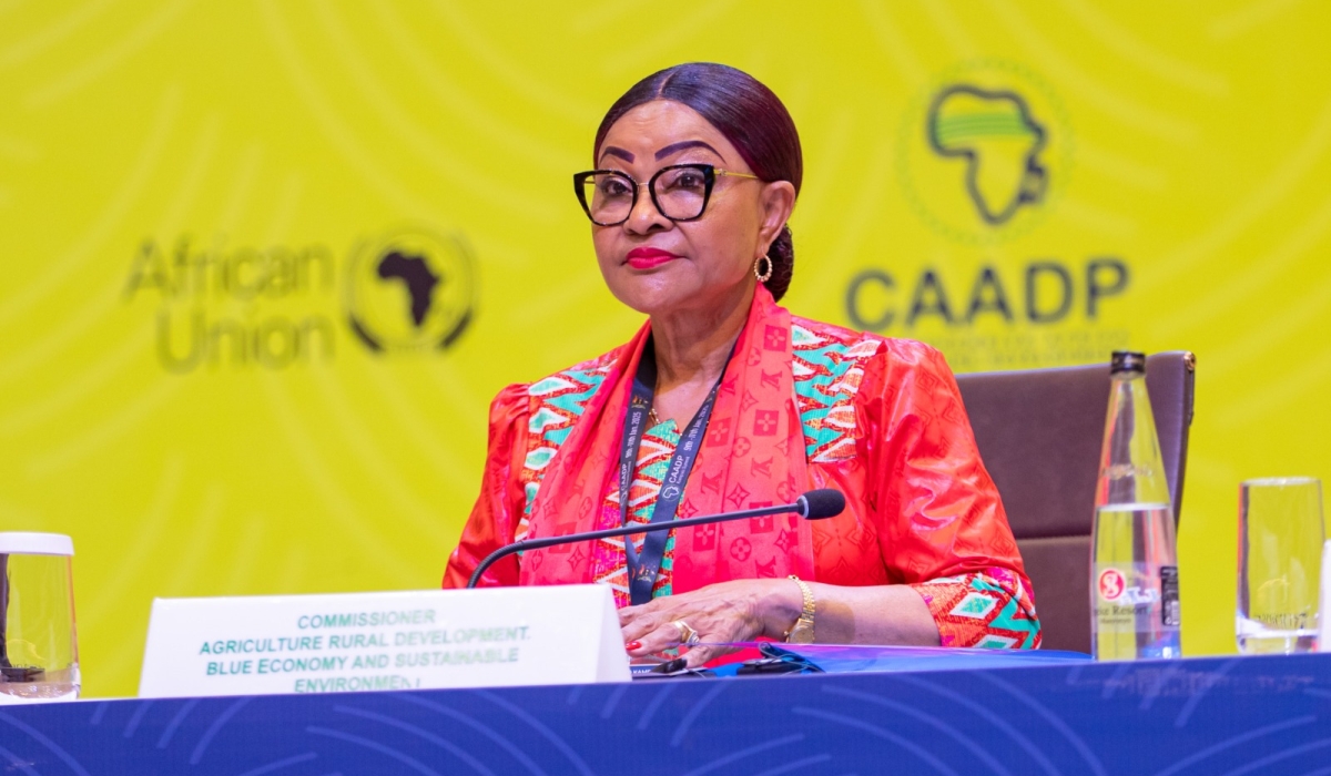 Ambassador Josefa Sacko, the African Union Commissioner for Agriculture, Rural Development, Blue Economy, and Sustainable Environment.