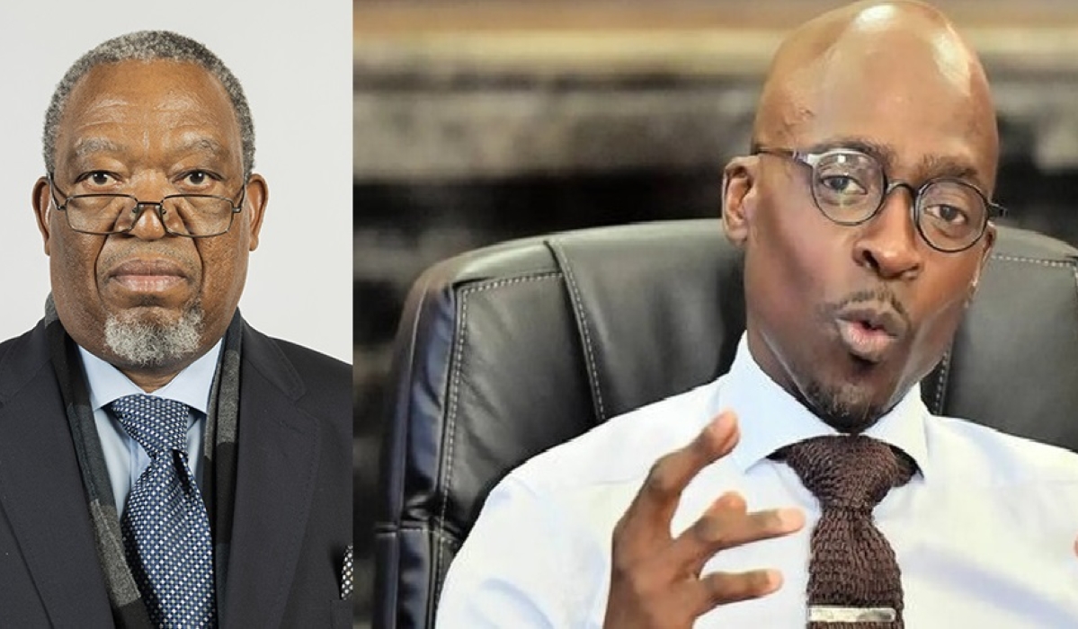 The South African co-chairs of the Joint Standing Committee on Defence, lawmakers Malusi Gigaba and Phiroane Phala, welcomed the decision to terminate the Southern African Mission in DR Congo (SAMIDRC).