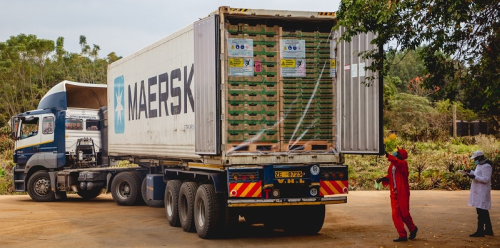 Kenya accelerates reforms to boost horticultural exports