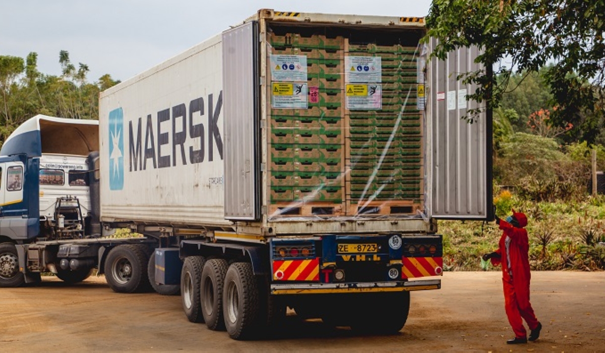 Kenya accelerates reforms to boost horticultural exports