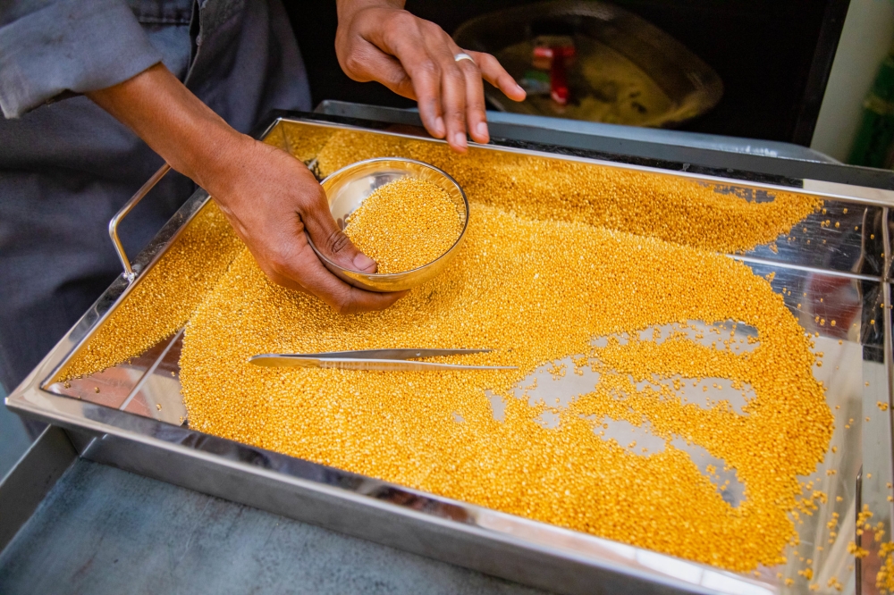 Workers sort gold at Gasabo Gold Refinery in Kigali. COURTESY