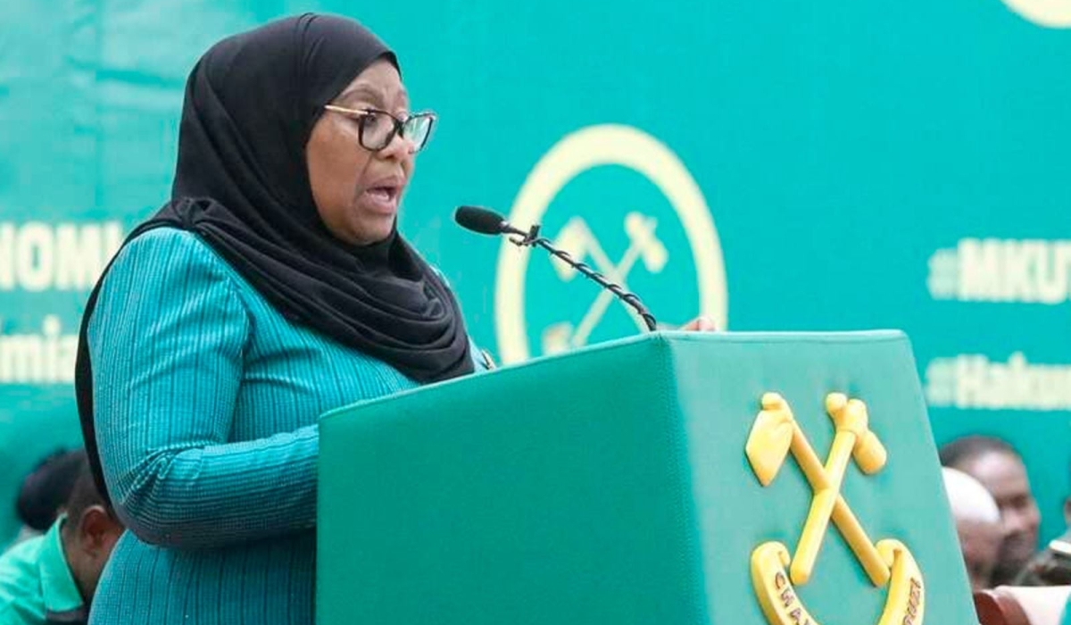 President Samia Suluhu Hassan. Internet