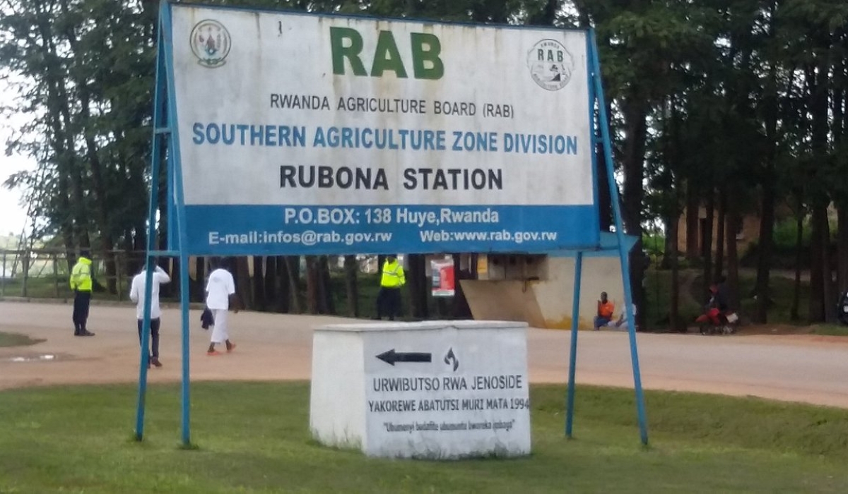 On April 26, 1994, Tutsi employees at Rwanda Agriculture Research Institute (ISAR Rubona) in Huye and other Tutsi from neighbouring areas were massacred.