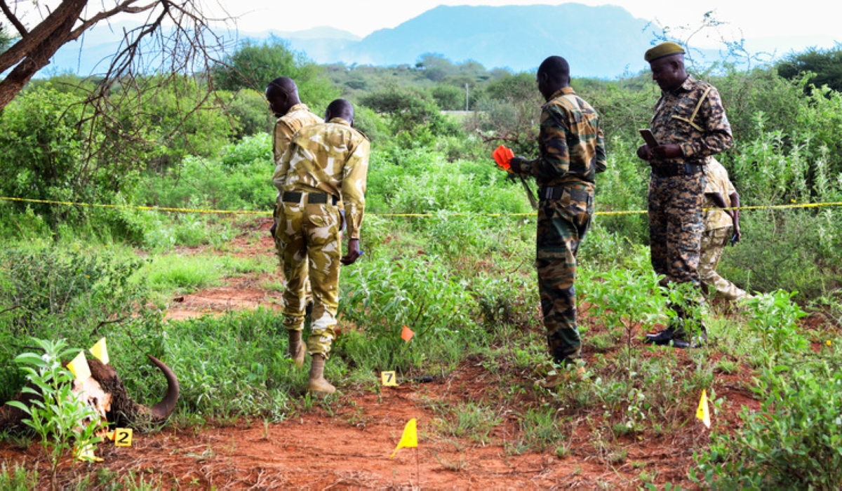 Kenya intensifies fight against wildlife crimes.