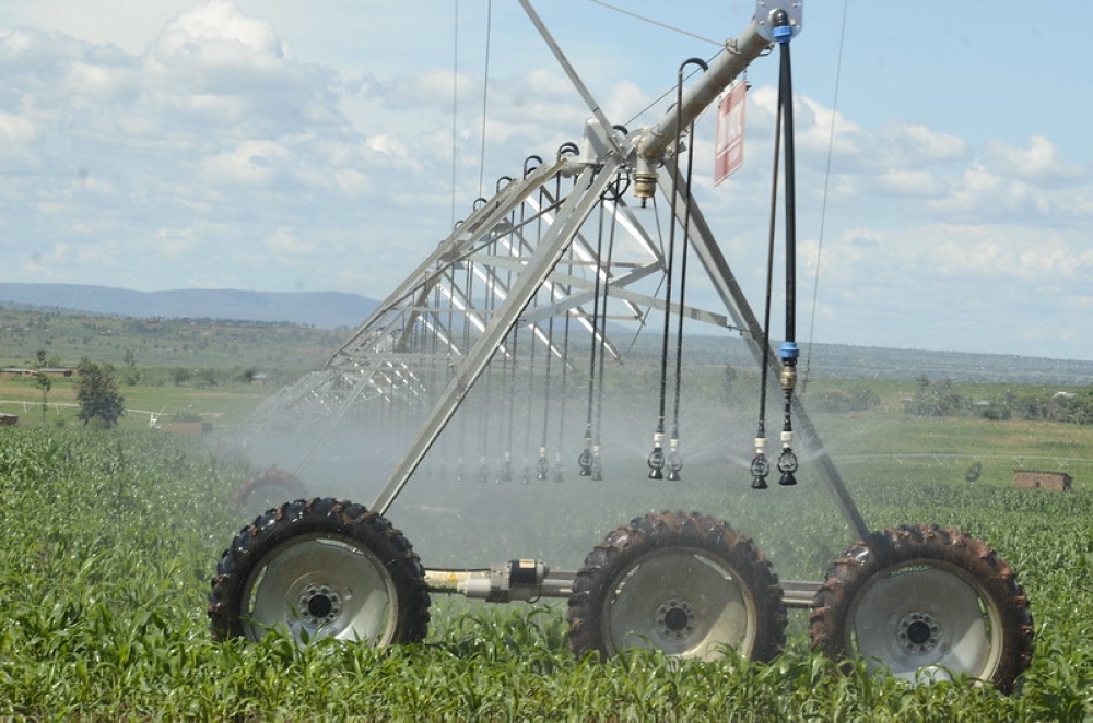 Solar powered irrigation scheme in eastern province in Rwanda. The Global Report on Food Crises 2025 confirms a sobering reality for Africa. File