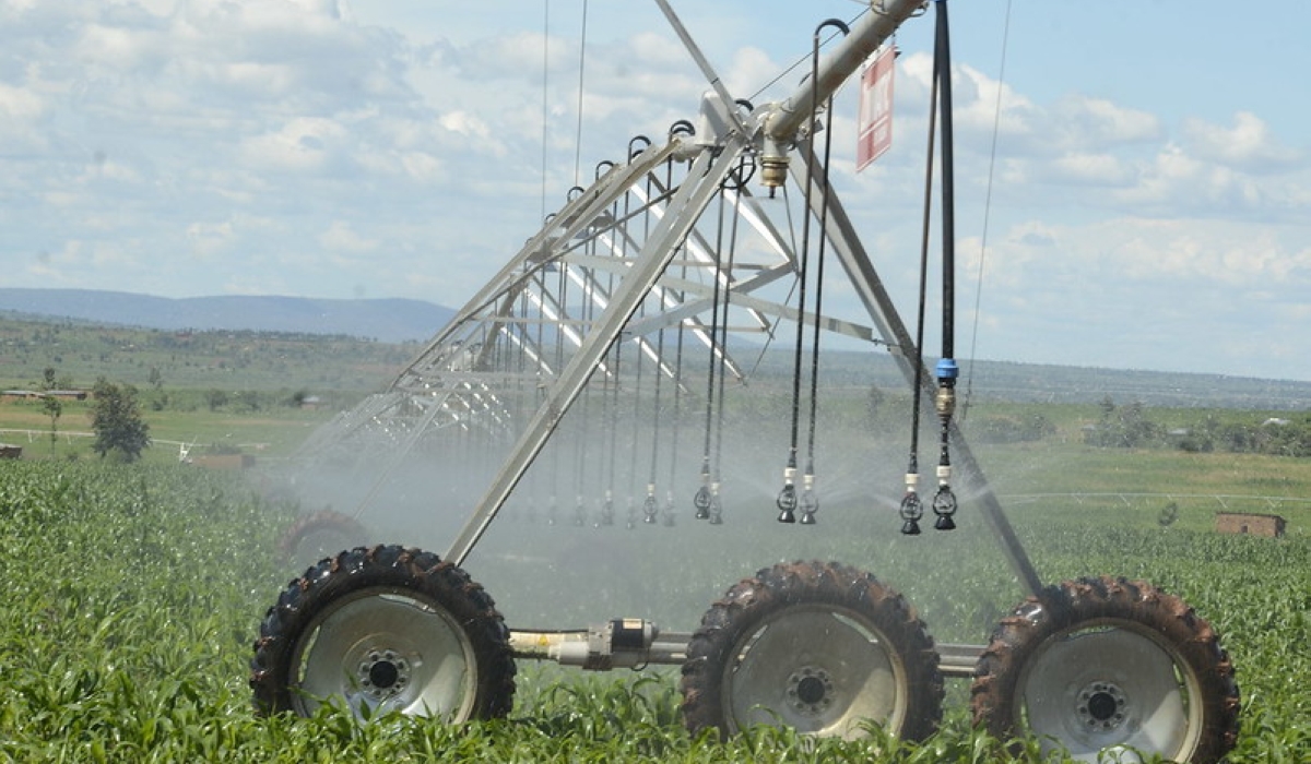 Solar powered irrigation scheme in eastern province in Rwanda. The Global Report on Food Crises 2025 confirms a sobering reality for Africa. File