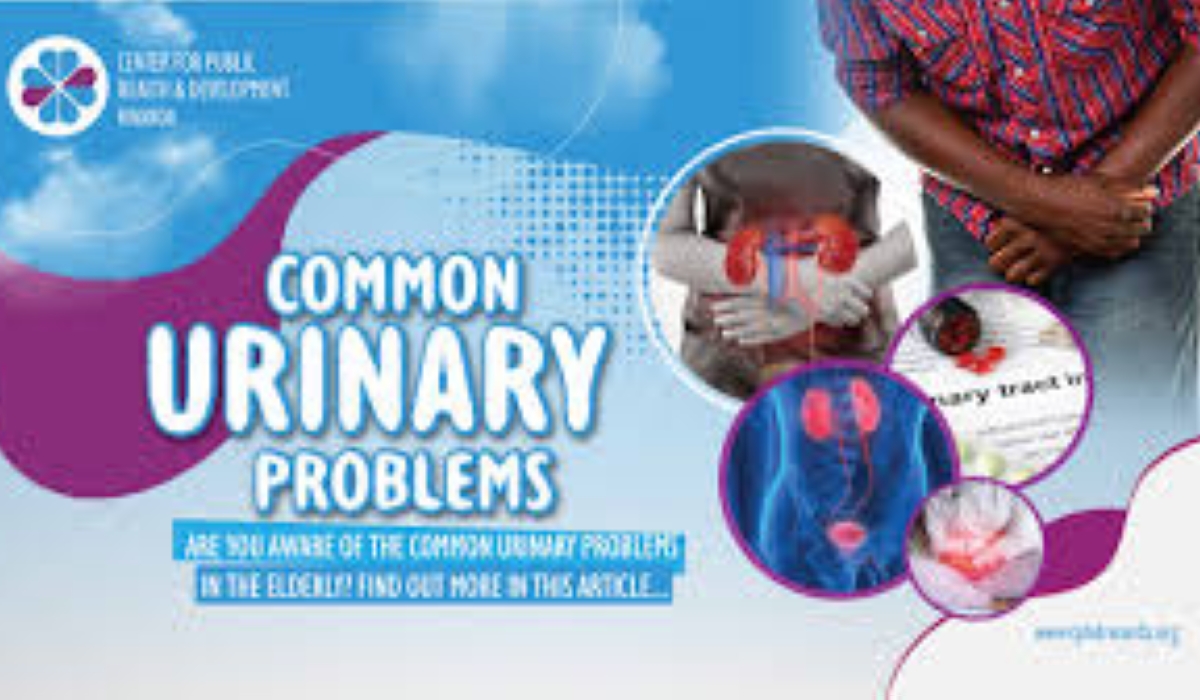 Elderly people suffer from many health-related problems in the later phase of their lives. But worst of all is urinary problems.