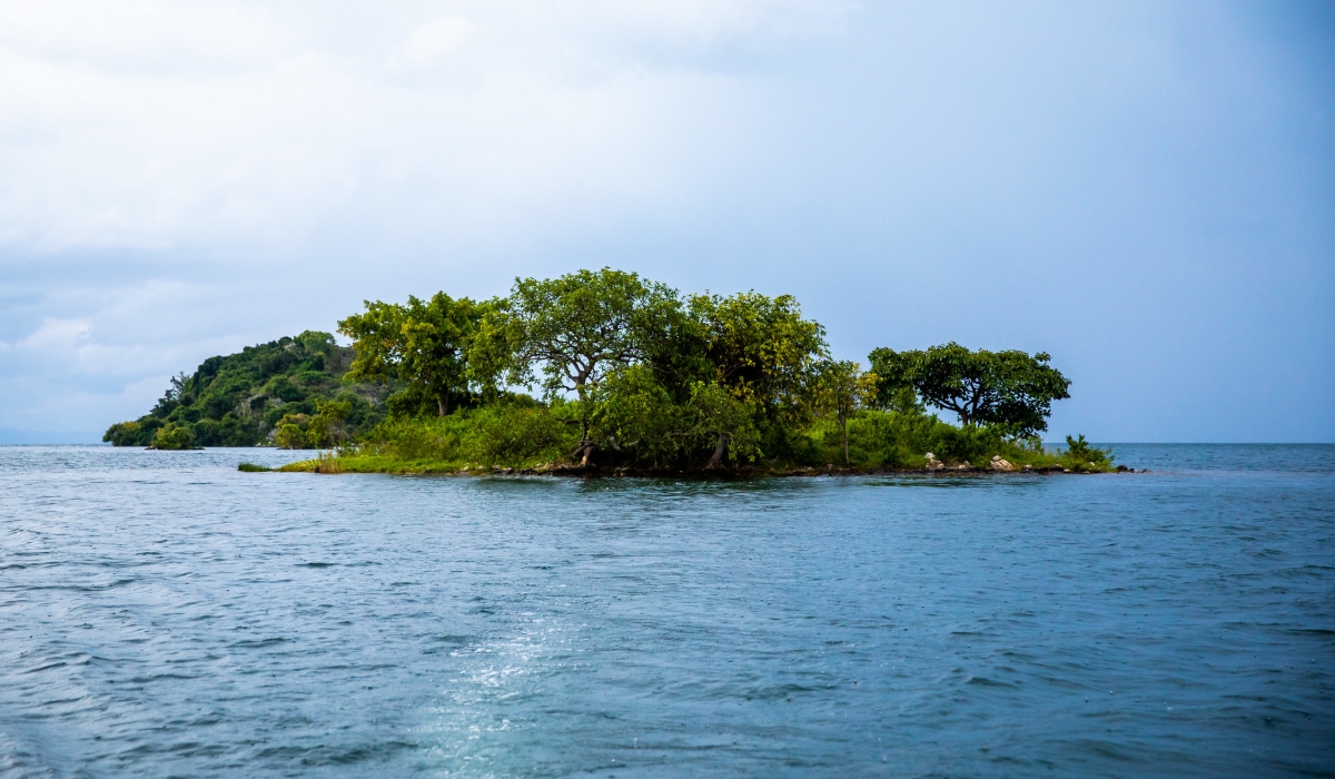 Rwanda is laying the groundwork to transform several ecologically rich islands on Lake Kivu into a national biodiversity park by 2028.  Photo by Olivier Mugwiza