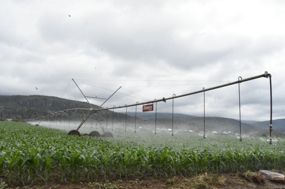 A view of Nasho solar powered irrigation scheme. Courtesy