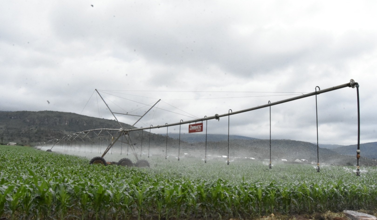 A view of Nasho solar powered irrigation scheme. Courtesy