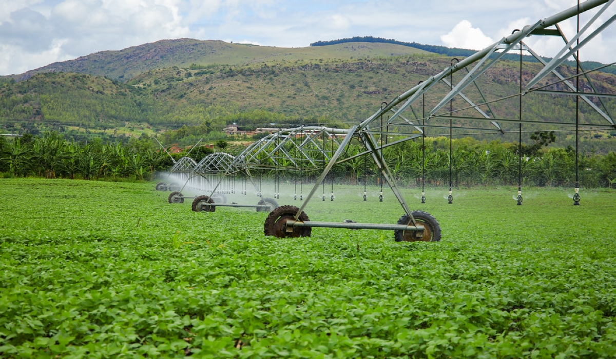 Three irrigation projects worth a combined $77 million (approx. Rwf110 billion), are expected to be completed by the end of 2025.
