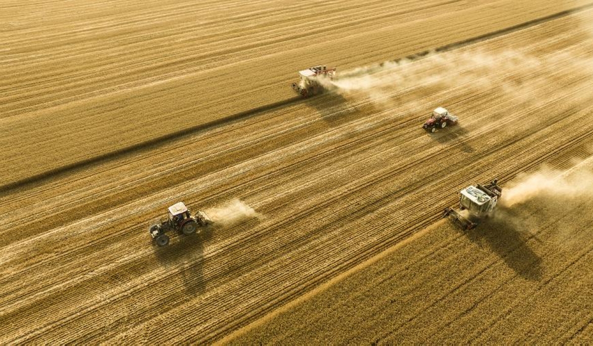 A drone photo shows harvesters reaping wheat in the fields in Pantang Village of Lizhuang Town, Shangqiu City, central China&#039;s Henan Province, June 4, 2025. (Photo by Li Heng/Xinhua)