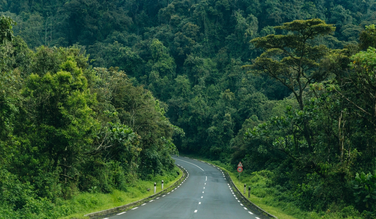 Rwanda is set to begin restoring the degraded Nyungwe–Ruhango corridor by August
