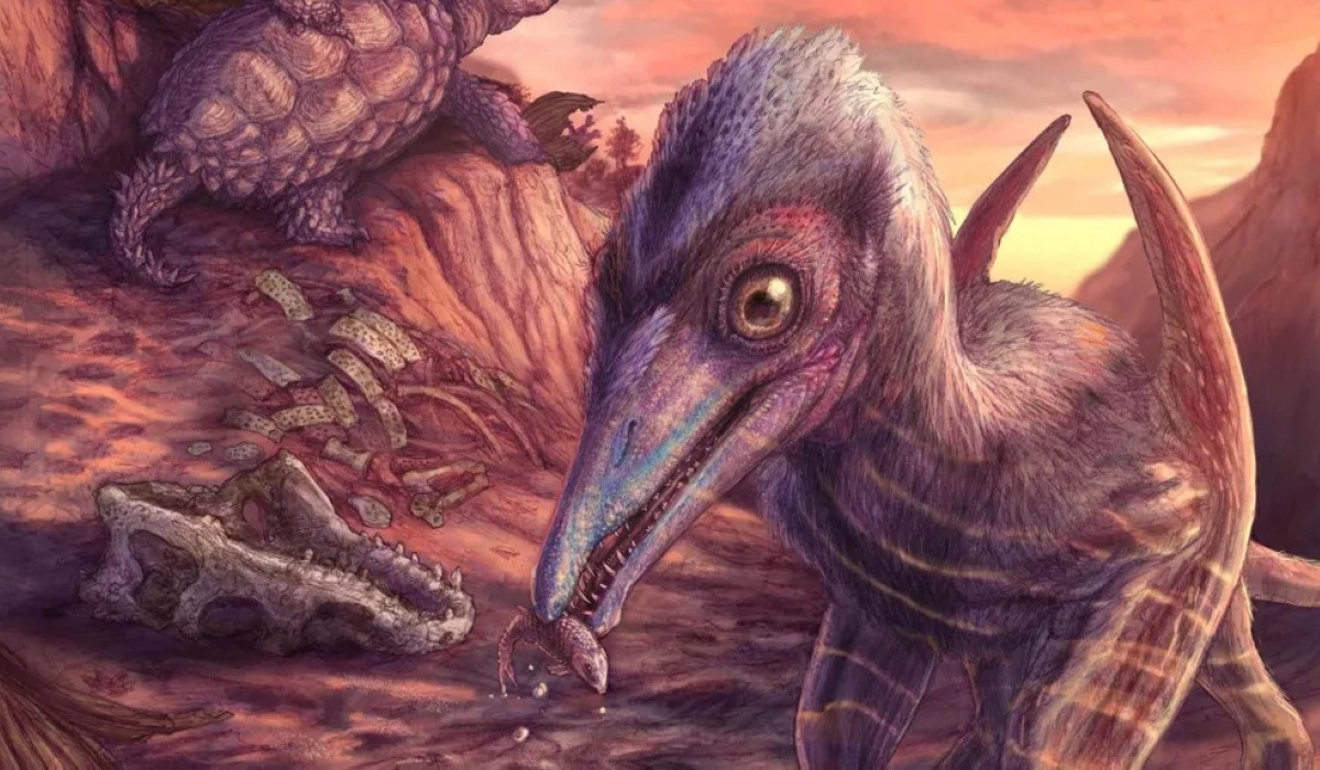 The new pterosaur has been named Eotephradactylus mcintireae, meaning &#039;ash-winged dawn goddess&#039;.