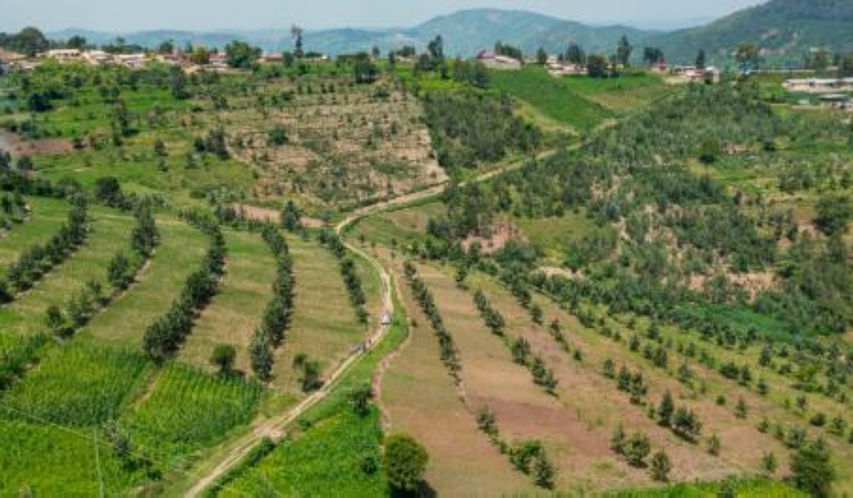 The Green Amayaga project is a six-year initiative, launched in October 2020, aiming at promoting biodiversity, foster ecosystem services, increase agricultural productivity and reduce the vulnerability of people.