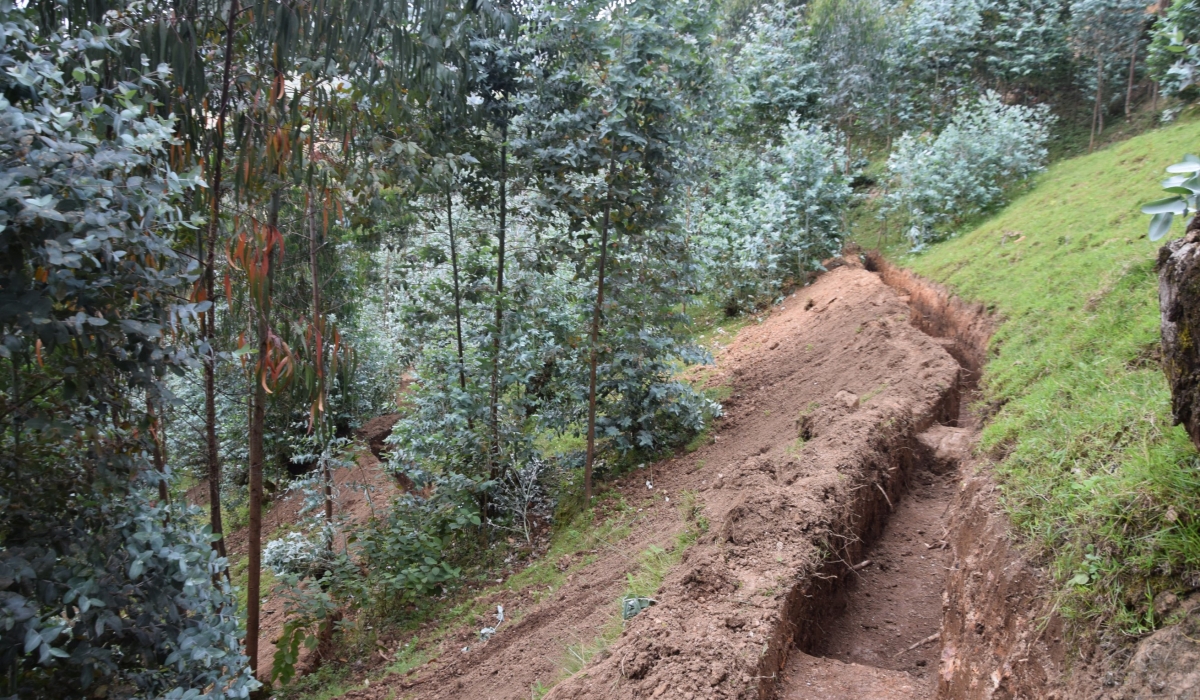 Land is being restored using trenches in forests and progressive terraces to prevent soil erosion. The government is implementing projects to curb the annual loss of crops worth Rwf37 billion caused by soil erosion.