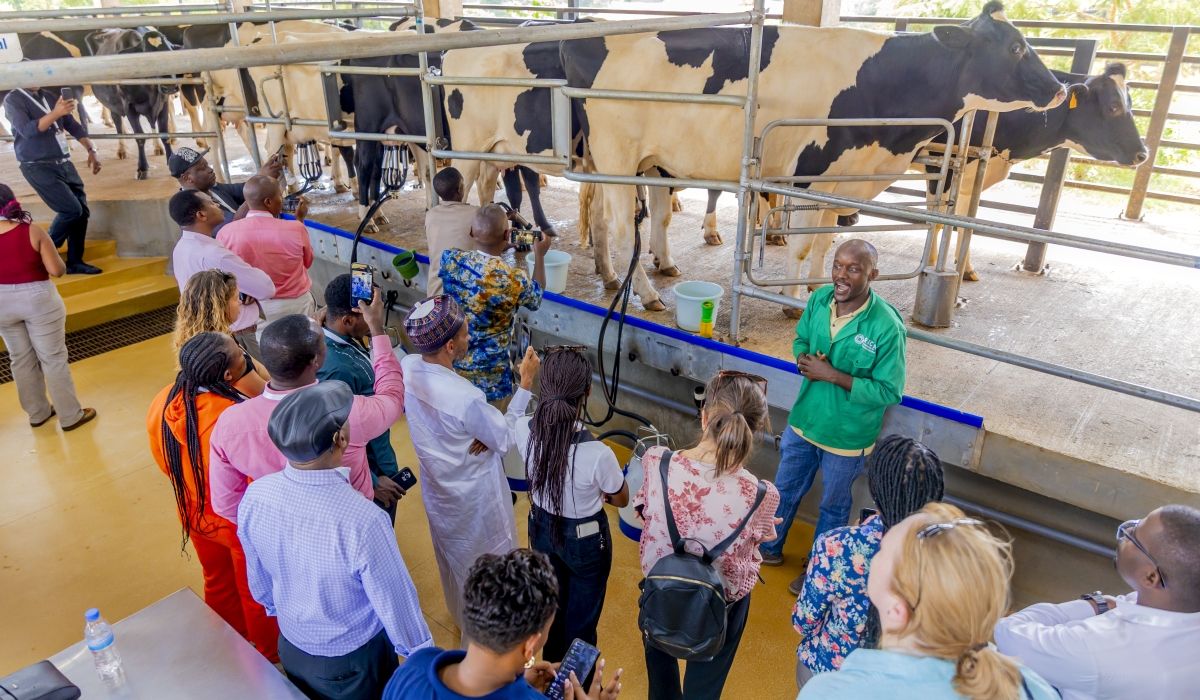 Delegates visited a modern dairy farm where they observed advanced cow milking technology, showcasing Rwanda’s growing efforts to adopt modern innovations in the livestock sector. CourtesyRICA