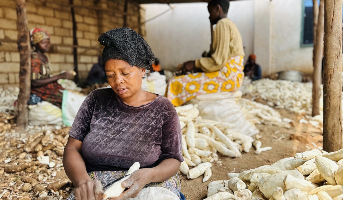 Women peeling the cassava at Akanoze Nyamiyaga Ltd for the HQCP2. Courtesy