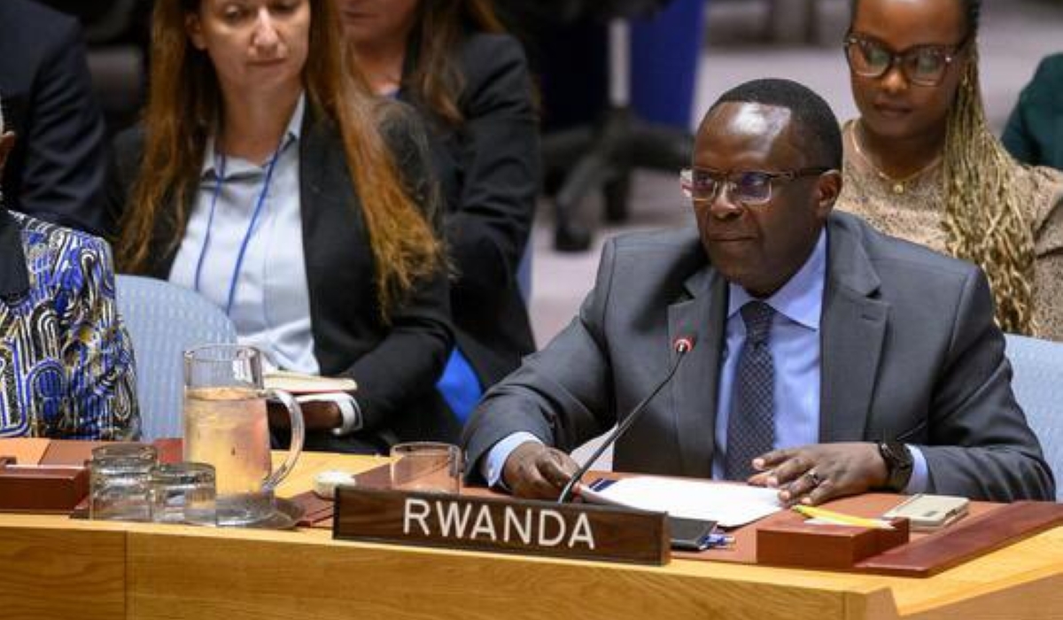 Ngoga speaks to the UN Security Council.