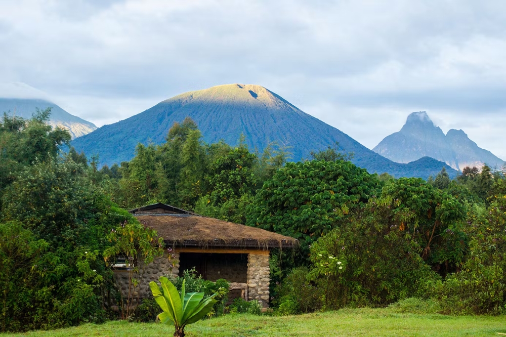 A view of Mountain Gorilla View Lodge. The $255 million (about Rwf367 billion) expansion aims to boost conservation, biodiversity, and community resilience. Courtesy