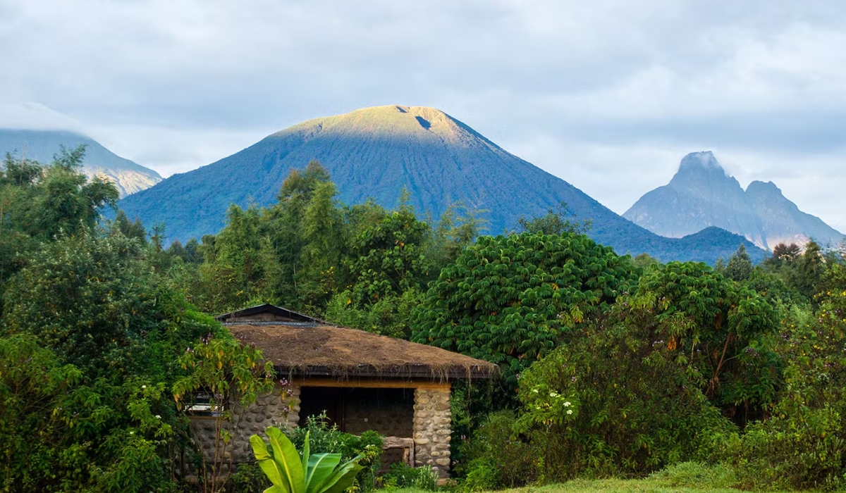 A view of Mountain Gorilla View Lodge. The $255 million (about Rwf367 billion) expansion aims to boost conservation, biodiversity, and community resilience. Courtesy