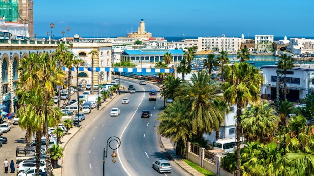From September 4 to 10, the Algerian capital will become the epicenter of African trade.