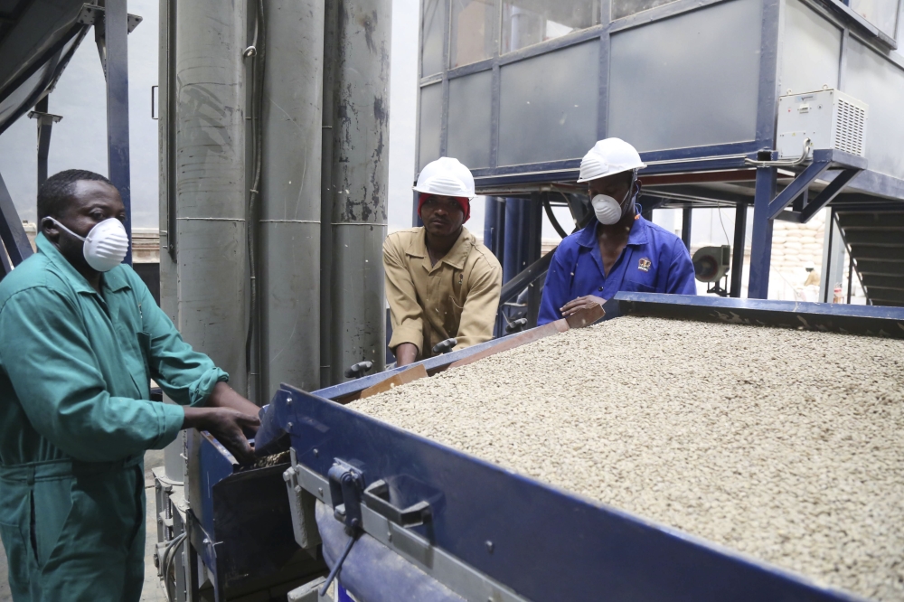 Workers sort coffee beans under process for export at Kigali Special Economic Zone. Photo by Sam Ngendahimana