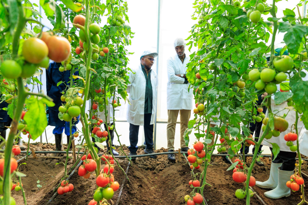 RDB Chief Executive Officer Jean-Guy Afrika (R) and Telesphore Ndabamenye, the Minister of State for Agriculture and Animal Resources, tour part of the horticulture hub that was launched in Kinigi, Musanze, as part of activities to celebrate the upcoming 20th edition of  Kwita Izina, a gorilla naming ceremony, on August 29, 2025 (courtesy)