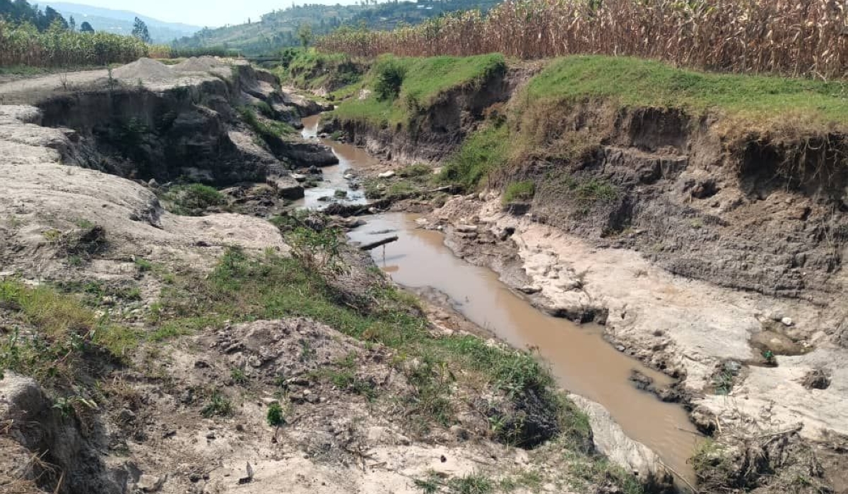 A view of a degraded wetland that is about to be rehabilitated in Kamonyi District. Courtsey