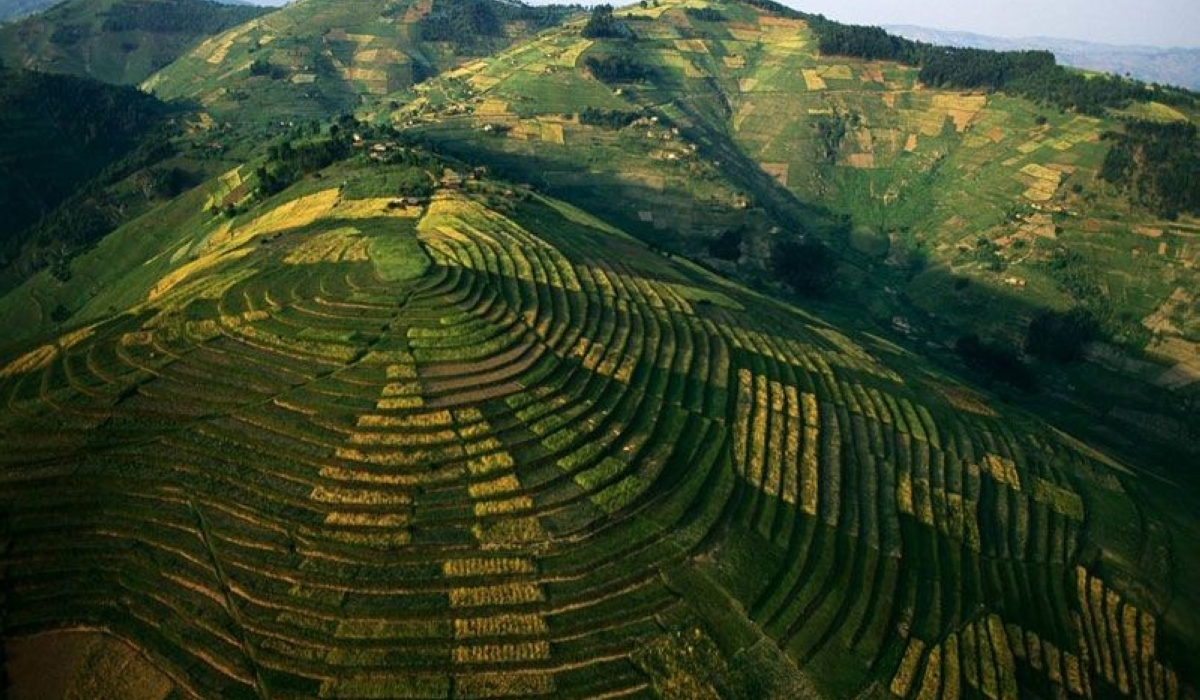 For years, Environmental Impact Assessments were mandated for large-scale projects.