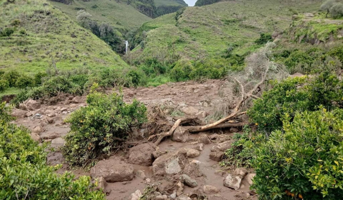 An area is damaged following a landslide that destroyed the Tersin village, in the Marra Mountains area of Sudan September 1, 2025. Sudan Liberation Movement/Army/Handout via REUTERS