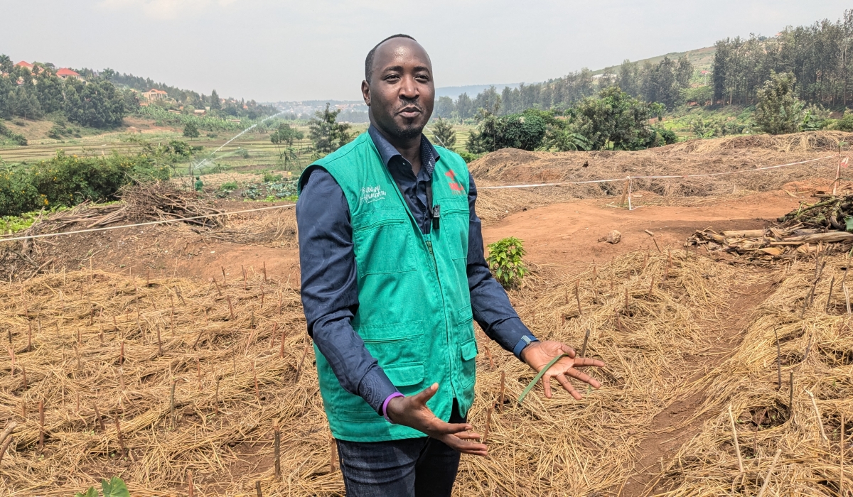 Fred Kwizera Programme  Manager for Sustainable Agriculture who works with Solid Africa, which grows crops to supply schools, hospitals, the Special Economic Zone and other institutions. Courtesy