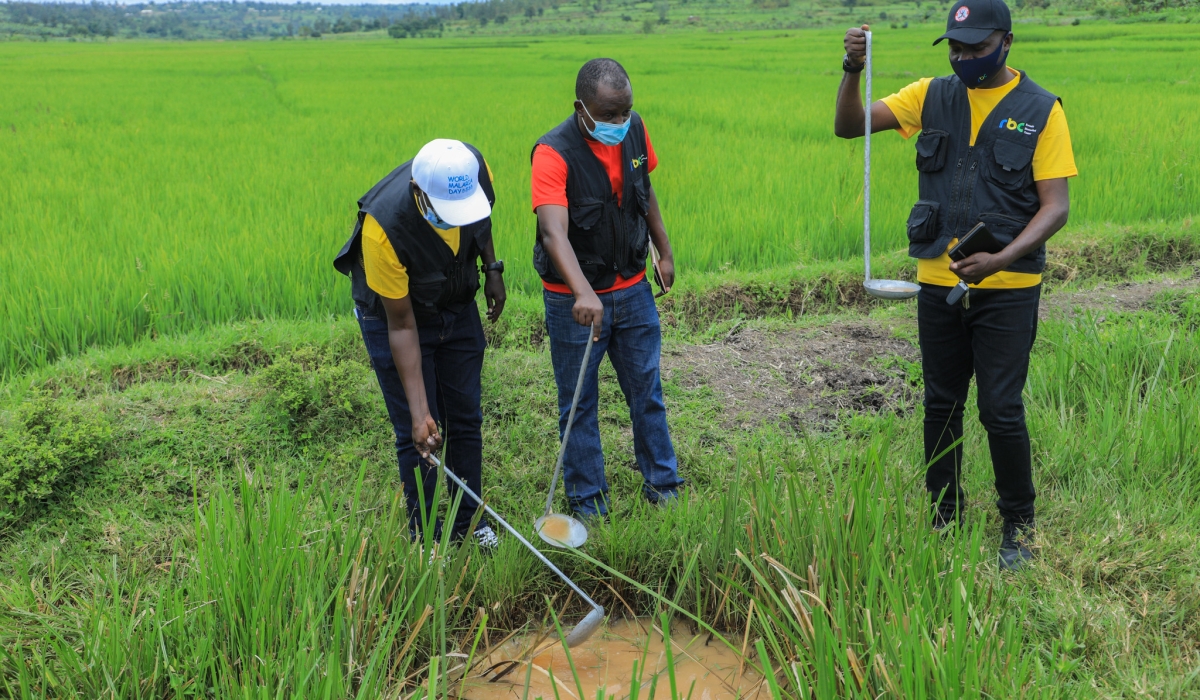 Rwanda Biomedical Centre health experts conduct mosquito research during an outreach program in Bugesera District. Photo by Craish Bahizi