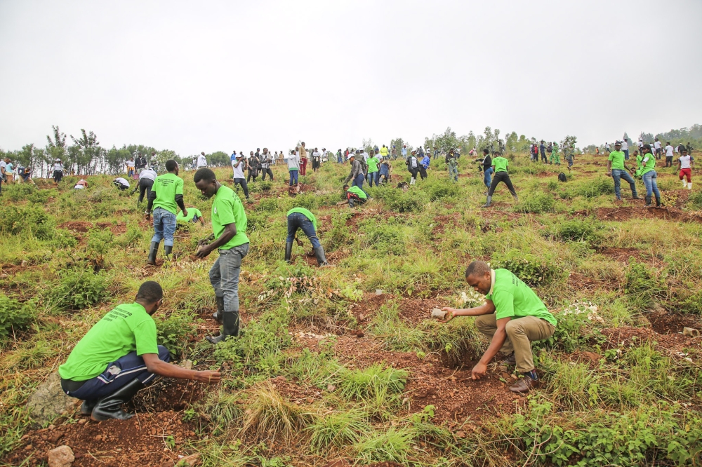 Residents during a reforestation exercise in Mageragere Sector. Courtesy