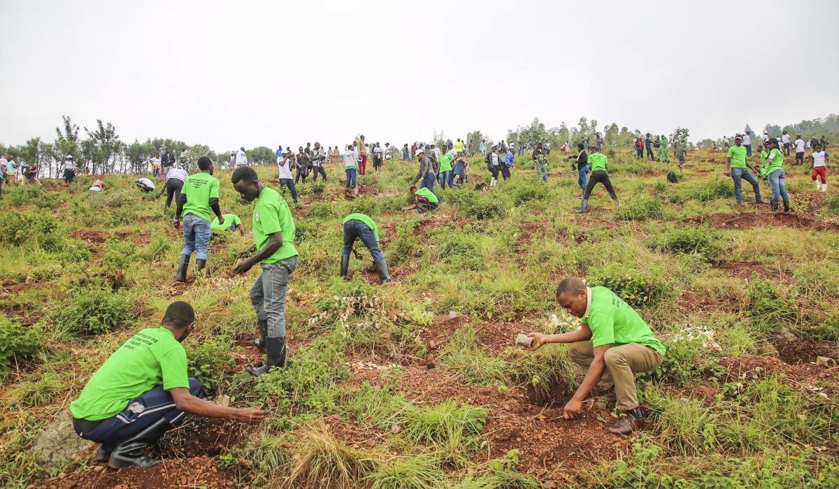 Residents during a reforestation exercise in Mageragere Sector. Courtesy
