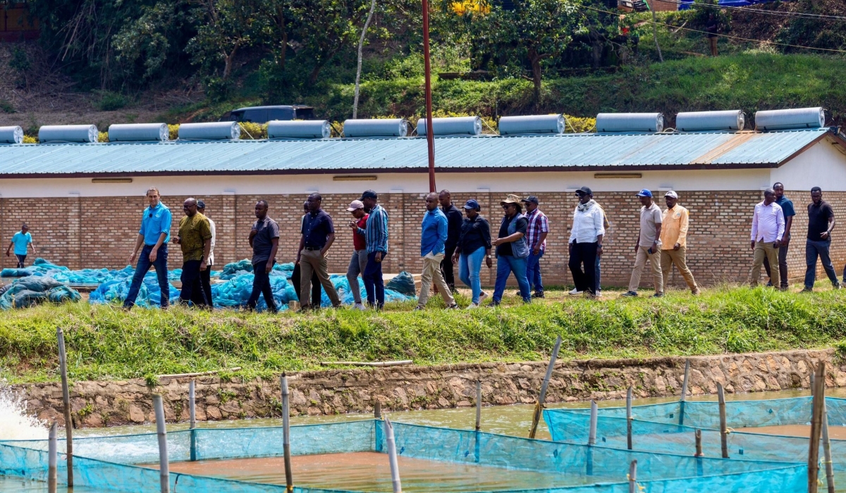 Prime Minister Dr. Nsengiyumva toured the fish farming facility operated by Kivu Choice, in Gisagara District . Craish BAHIZI