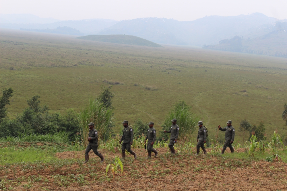 Community rangers during patrol around Rugezi Marsh . The 2025 edition  brought together more than 170 ranger teams from 24 countries in a campaign of endurance, teamwork, and solidarity. Courtesy