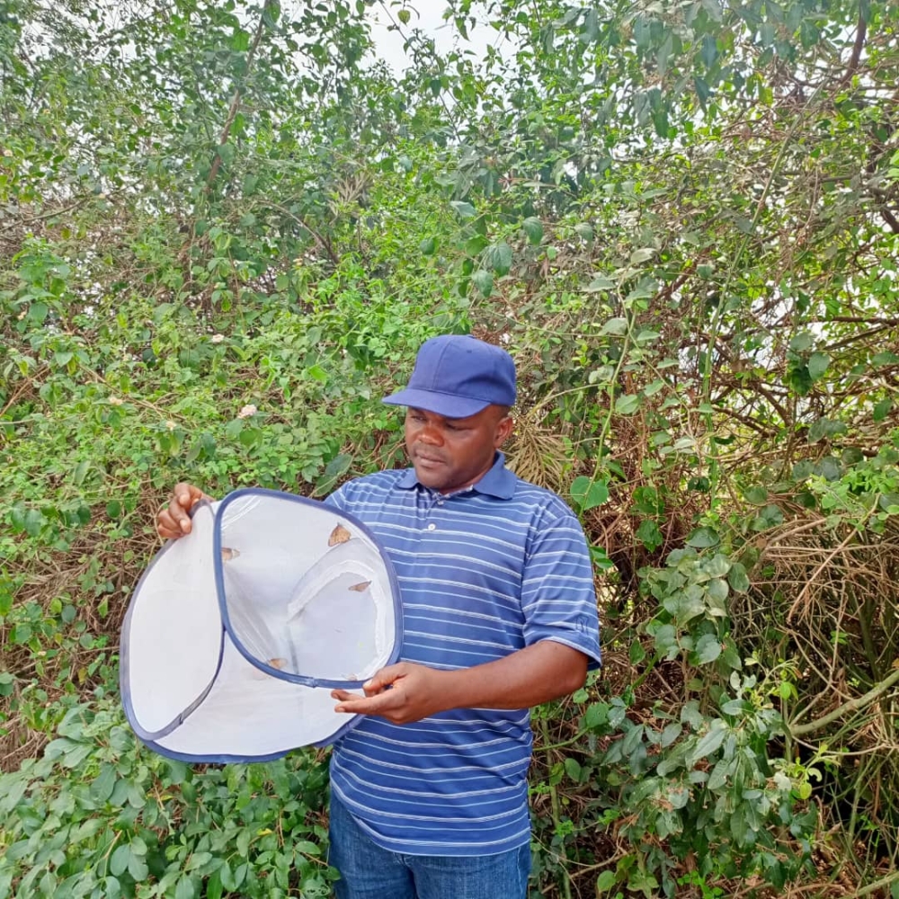 Dr. Jean de Dieu Uwizelimana, a butterfly scientist and lecturer at the University of Rwanda.
