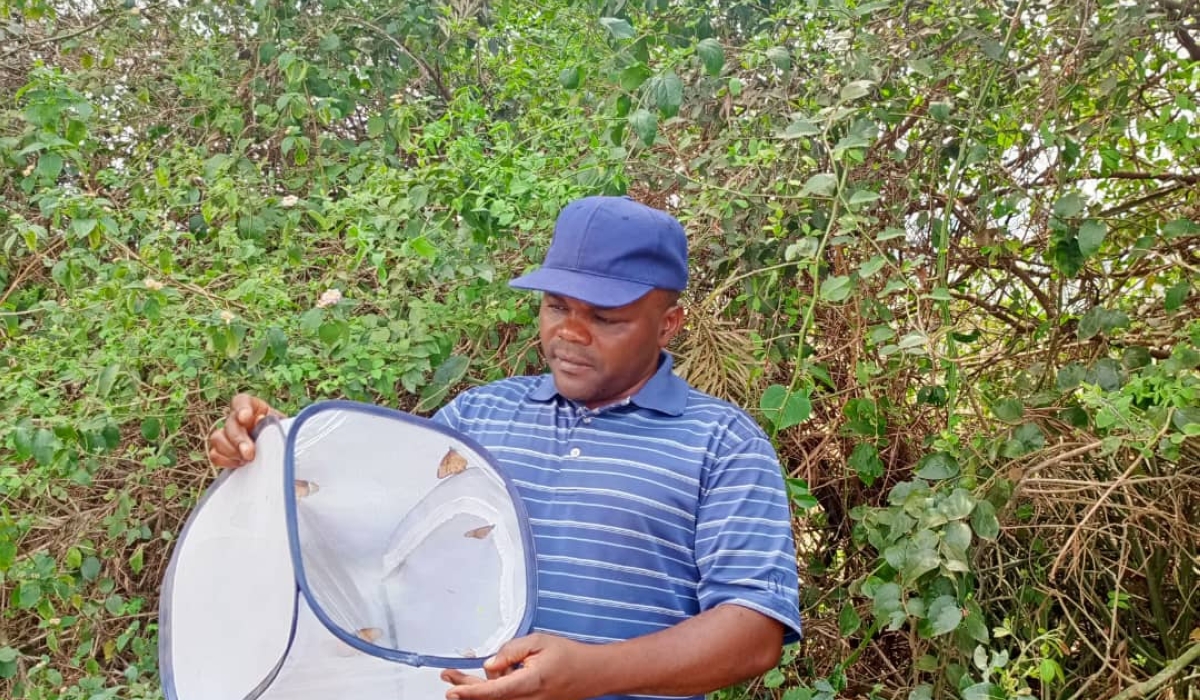 Dr. Jean de Dieu Uwizelimana, a butterfly scientist and lecturer at the University of Rwanda.